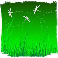 libellule e sfondo di erba vettore