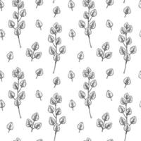 senza cuciture con rami di eucalipto disegnati a mano e foglie isolati su priorità bassa bianca. illustrazione vettoriale in stile schizzo vintage