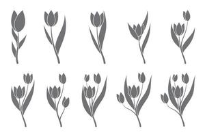 tulipani fiori illustrazione vettoriale set. arte minimalista.