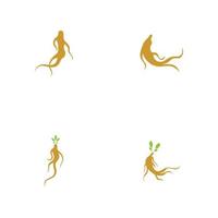 set di modello di progettazione dell'illustrazione del logo del ginseng vettore