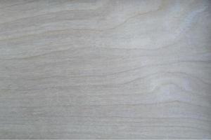 bianco brillante legno texture paesaggio eps10 ampio sfondo illustrazione vettoriale