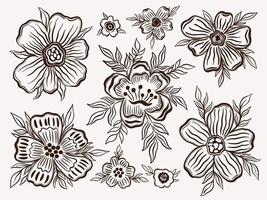 impostare il contorno floreale disegnare a mano.elemento colore nero in bianco background.botanical pianta floreale design. vettore