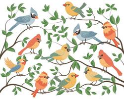 impostato di carino luminosa uccelli seduta su albero rami. impostato di vario primavera uccelli nel natura. primavera illustrazione nel piatto cartone animato stile. vettore