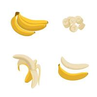 Banana frutta. fresco frutta per salutare stile di vita. gratuito vettore