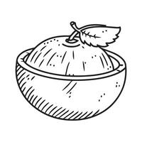 Noce di cocco vettore illustrazione