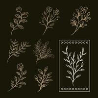 floreale ornamento fiori collezione vettore illustrazione