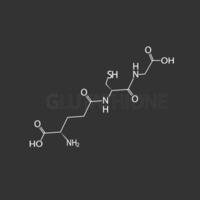 glutatione molecolare scheletrico chimico formula vettore