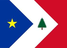 bandiera di il nuovo Inghilterra acadiani vettore