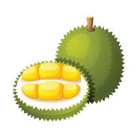 durian frutta icona design. fresco frutta vettore