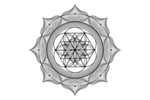 sacro loto yantra mandala, mistico fiore di vita. sacro geometria, vettore logo grafico elemento isolato. mistico icona seme di vita, geometrico disegno cartello, esoterico loto fiore su bianca sfondo