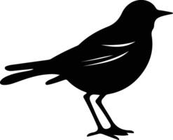 americanrobin nero silhouette vettore