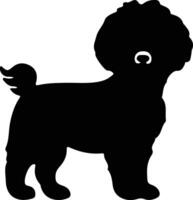 bichon frise silhouette vettore