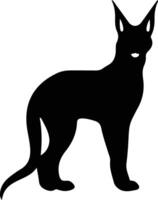 Caracal nero silhouette vettore