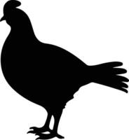 gallo cedrone nero silhouette vettore