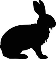 lagomorfo nero silhouette vettore