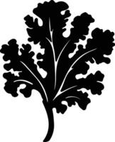 cavolo nero silhouette vettore