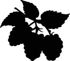 Boysenberry nero silhouette vettore