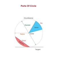 parti di un' cerchio nel matematica Compreso raggio, diametro, circonferenza, segmento, tangente, centro, accordo. vettore illustrazione.