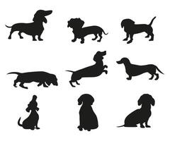 impostato di bassotto sagome, wurstel cane piccolo razza nel diverso pose vettore icone