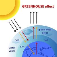 serra effetto schema. diagramma mostrando Come il serra effetto lavori. globale riscaldamento, serra gas. clima modificare. ecologico vettore illustrazione concetto.