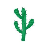 vettore cactus icona