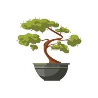 Bonsai albero nel un' pentola illustrazione vettore
