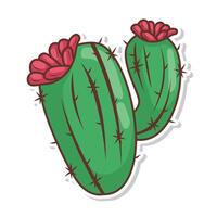 cactus pianta illustrazione vettore arte