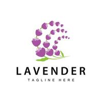 lavanda logo semplice design vettore cosmetico pianta viola colore e aromaterapia lavanda fiore giardino modello