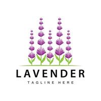 lavanda logo semplice design vettore cosmetico pianta viola colore e aromaterapia lavanda fiore giardino modello