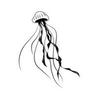 linea arte uno linea Medusa per decorazione design. nero linea vettore illustrazione su bianca sfondo
