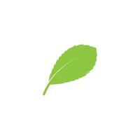 loghi di foglia verde ecologia natura elemento icona vettore