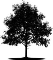 ai generato silhouette albero natura nero colore solo vettore