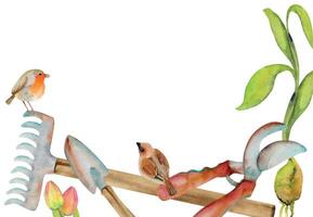 mano disegnato acquerello illustrazione primavera giardinaggio utensili pala rastrello taglio cesoie, uccelli pettirosso passero, verde alberello. orizzontale telaio isolato su bianca sfondo. Stampa, negozio, scrapbooking vettore