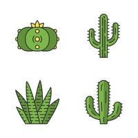 set di icone di colore del cactus selvatico. succulente. raccolta di cactus. cactus saguaro, peyote, gigante messicano e zebra. illustrazioni vettoriali isolate