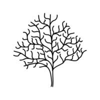 mano disegnato albero schema, albero linea arte nero e bianca schizzo disegno vettore
