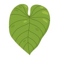 Monstera foglia isolato su bianca sfondo. vettore disegnato a mano illustrazione. Perfetto per logo, carte, decorazioni, vario disegni. botanico clipart.