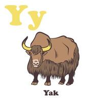 yak alfabeto cartone animato personaggio per bambini vettore