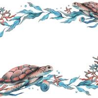 subacqueo mondo clipart con mare animali tartaruga, conchiglie, bolle, corallo e alghe. mano disegnato acquerello illustrazione. telaio, modello isolato a partire dal il sfondo vettore