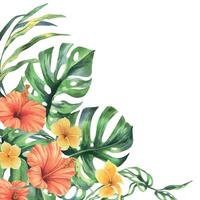 tropicale palma foglie, Monstera e fiori di plumeria, ibisco, luminosa succoso. mano disegnato acquerello botanico illustrazione. modello, telaio isolato a partire dal il sfondo vettore