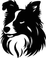 Shetland cane da pastore silhouette ritratto vettore