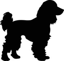 irlandesi acqua spaniel nero silhouette vettore