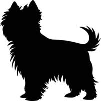 affenpinscher nero silhouette vettore