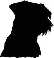 confine terrier nero silhouette vettore