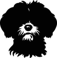 bichon frise silhouette ritratto vettore