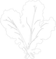 cavolo verdura schema silhouette vettore
