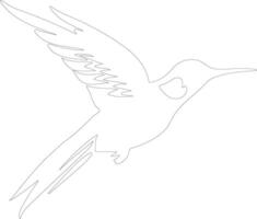 colibrì schema silhouette vettore
