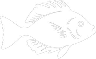 John dory schema silhouette vettore