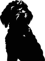 Goldendoodle nero silhouette vettore