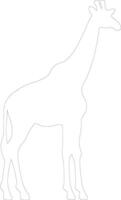 giraffa schema silhouette vettore