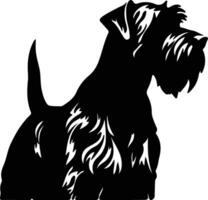 gigante schnauzer nero silhouette vettore